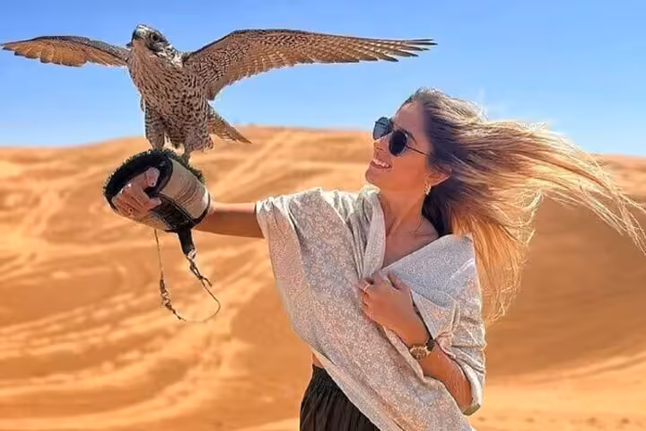 Falcon Show